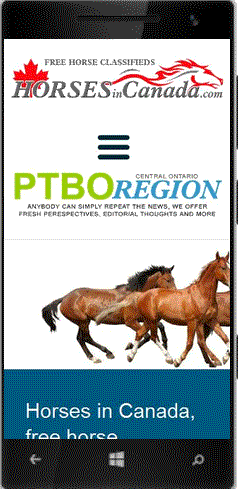 Canadian horses sales site
